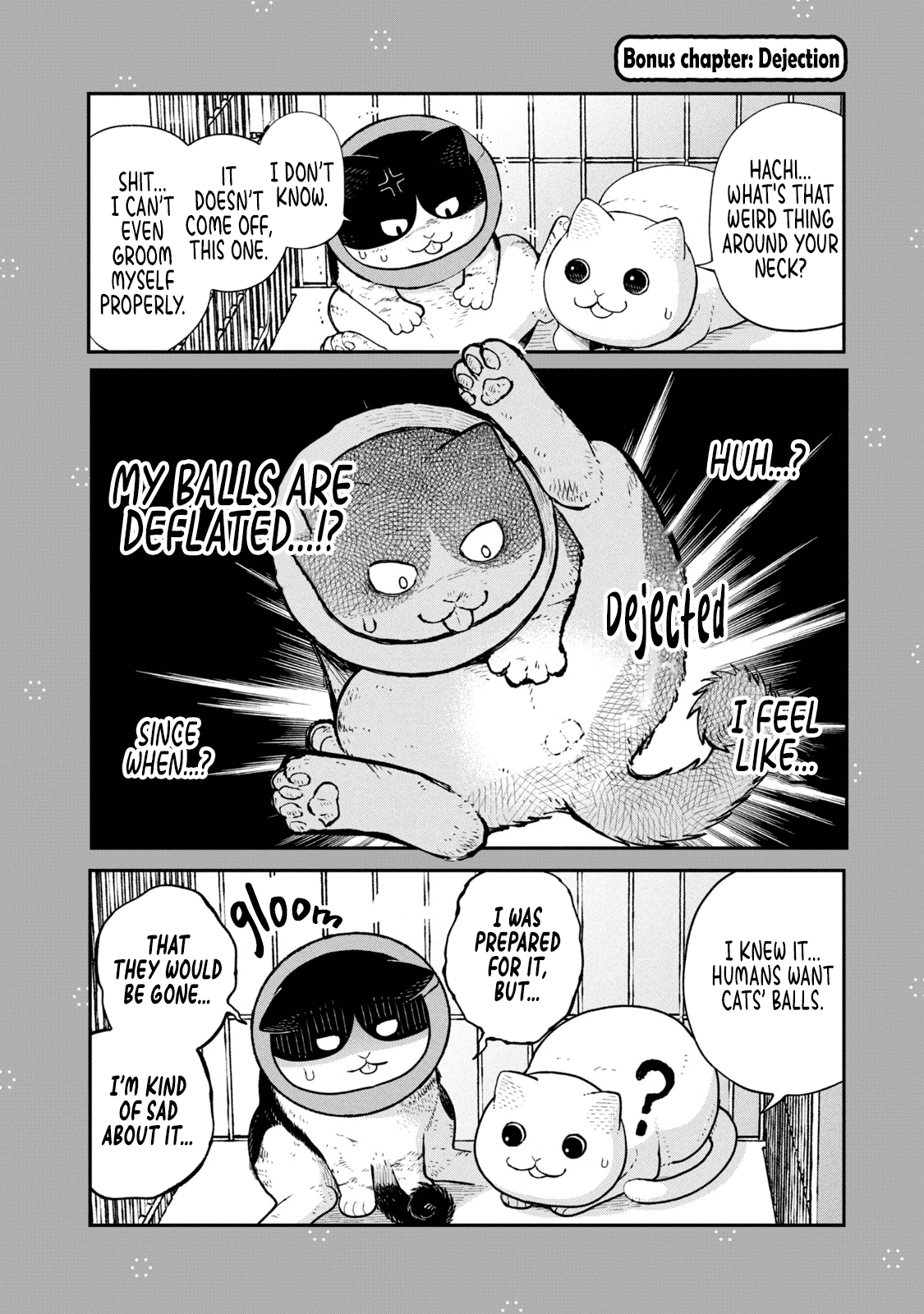 Cat Partners: Maruru and Hachi Chapter 14.1 page 1 - Chapter 14.1: Bonus chapter: Dejection