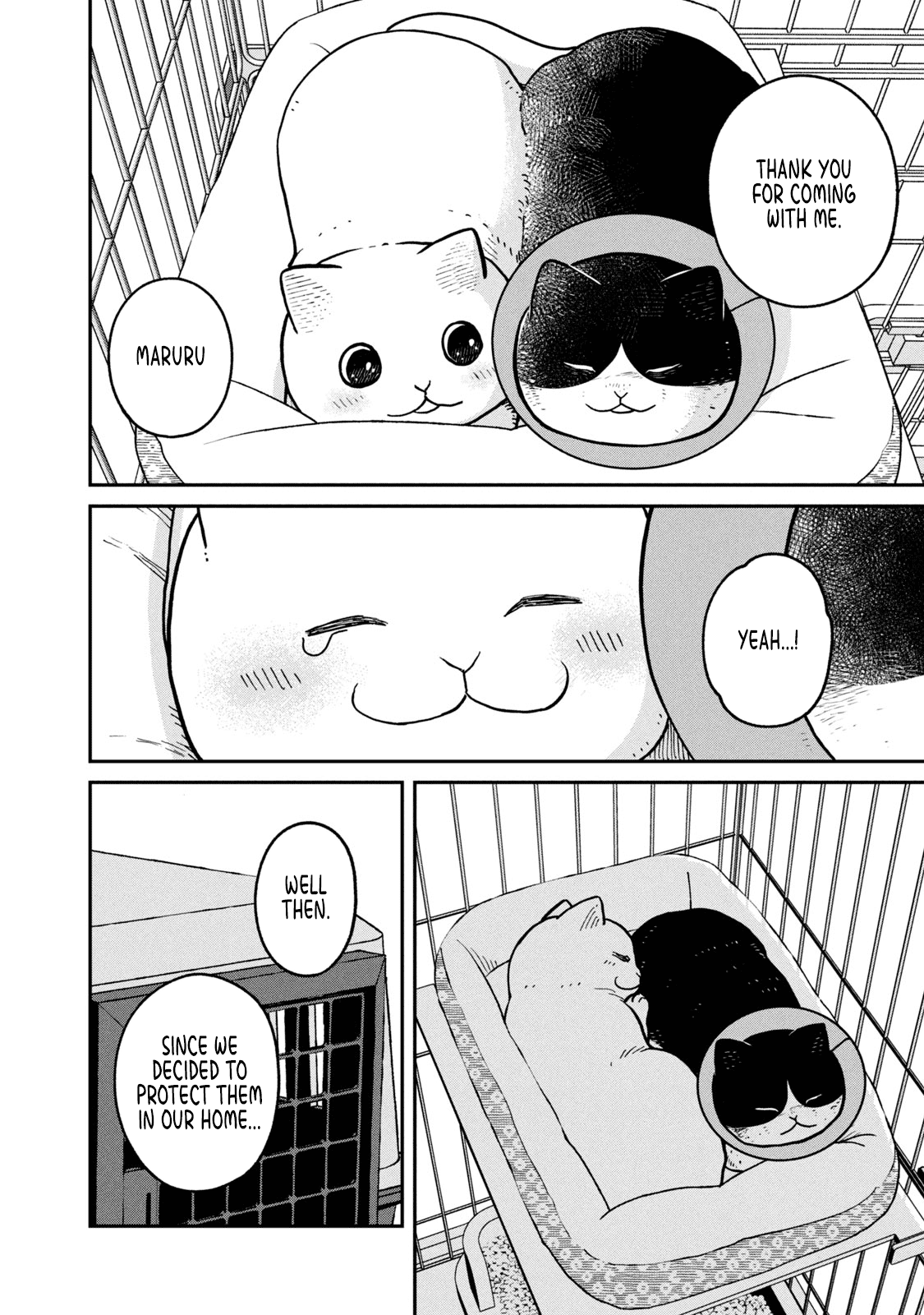Cat Partners: Maruru and Hachi Chapter 14 page 11 - Chapter 14: In a cage, for now