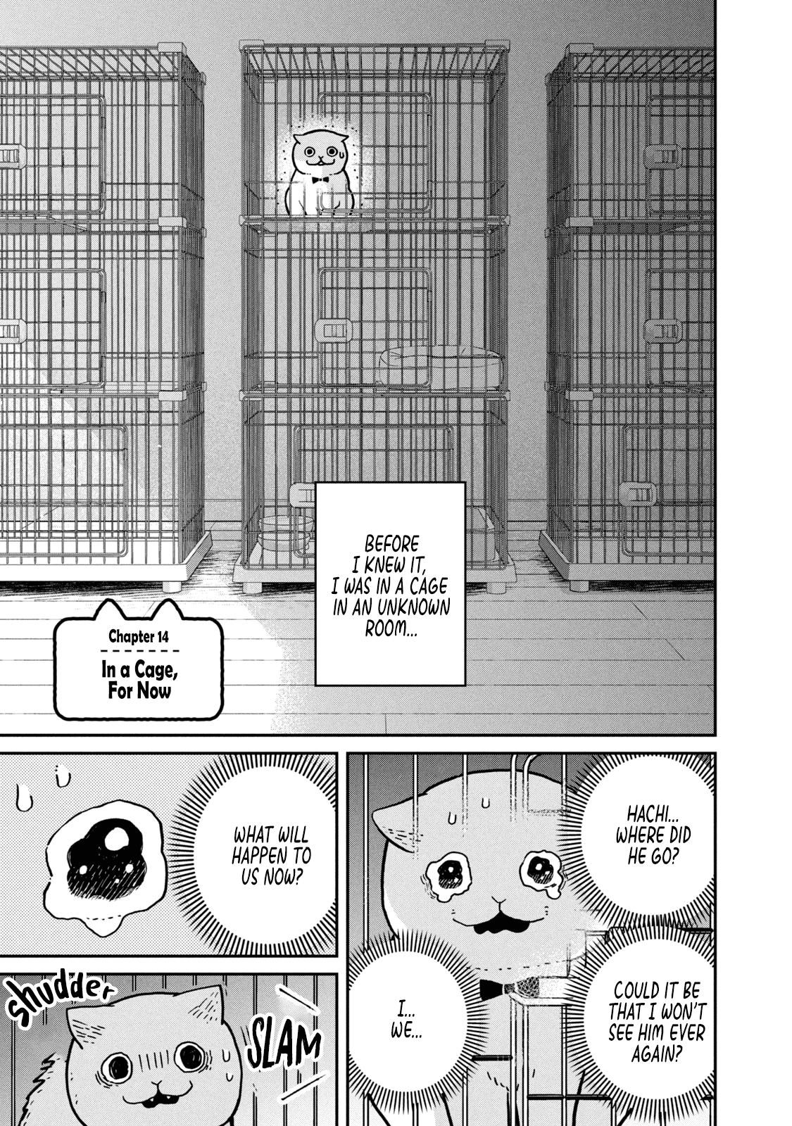 Cat Partners: Maruru and Hachi Chapter 14 page 2 - Chapter 14: In a cage, for now