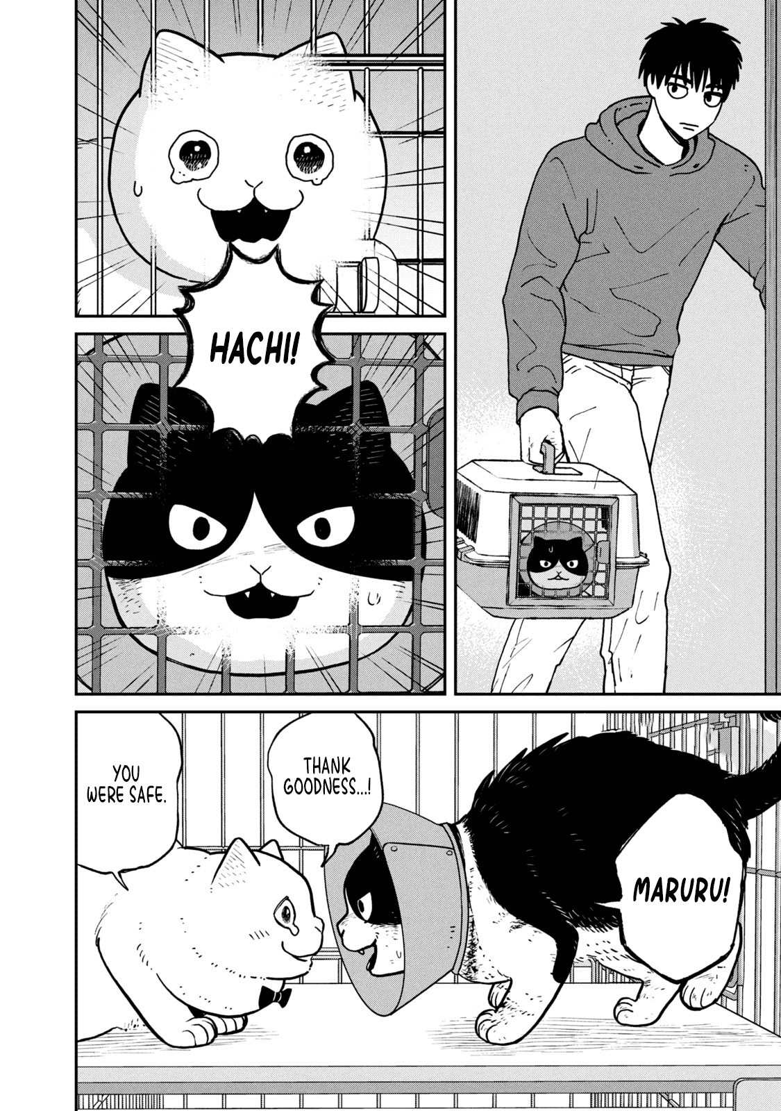 Cat Partners: Maruru and Hachi Chapter 14 page 3 - Chapter 14: In a cage, for now