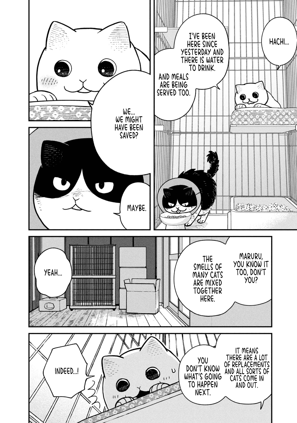 Cat Partners: Maruru and Hachi Chapter 14 page 9 - Chapter 14: In a cage, for now