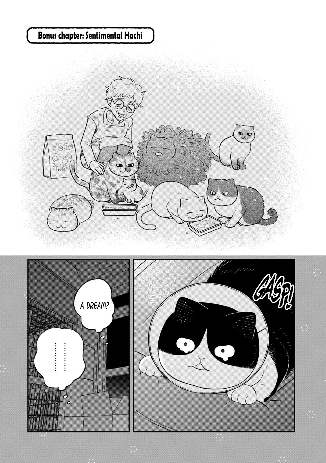 Cat Partners: Maruru and Hachi Chapter 15.1 page 1 - Chapter 15.1: Bonus chapter: Sentimental Hachi