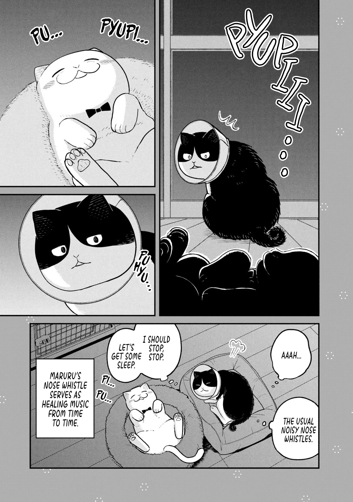 Cat Partners: Maruru and Hachi Chapter 15.1 page 3 - Chapter 15.1: Bonus chapter: Sentimental Hachi