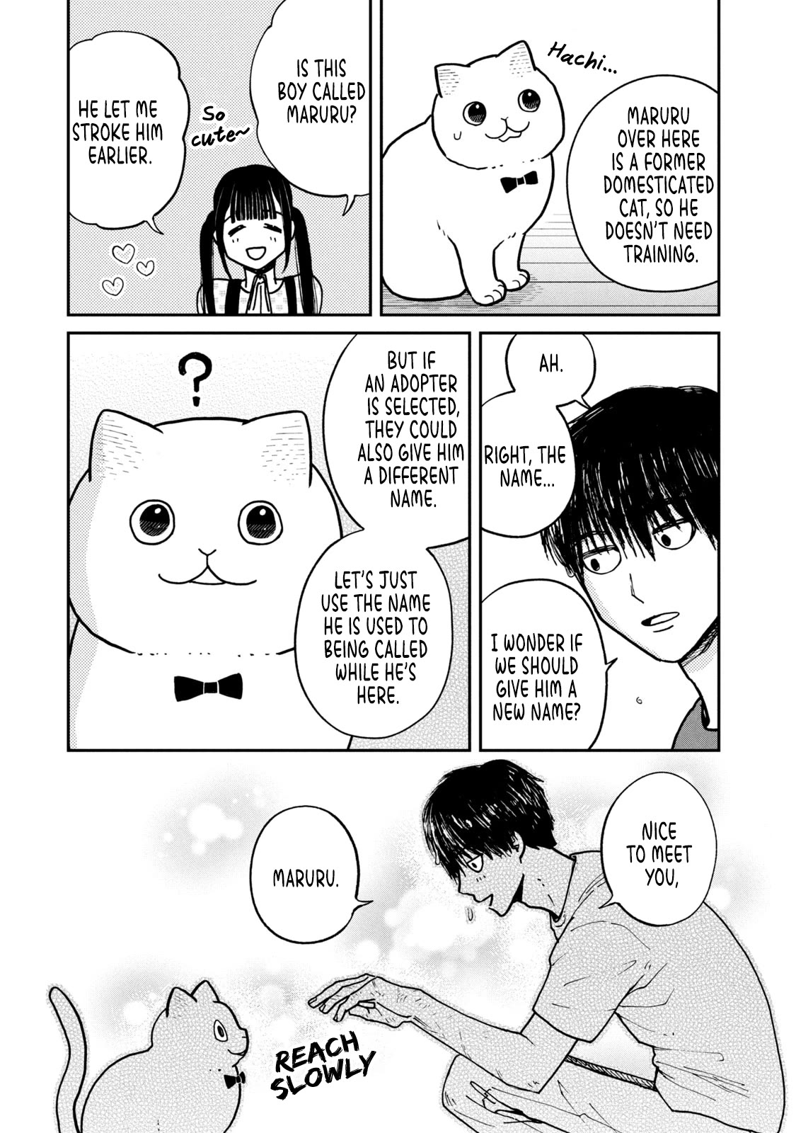 Cat Partners: Maruru and Hachi Chapter 15 page 12 - Chapter 15: Training begins