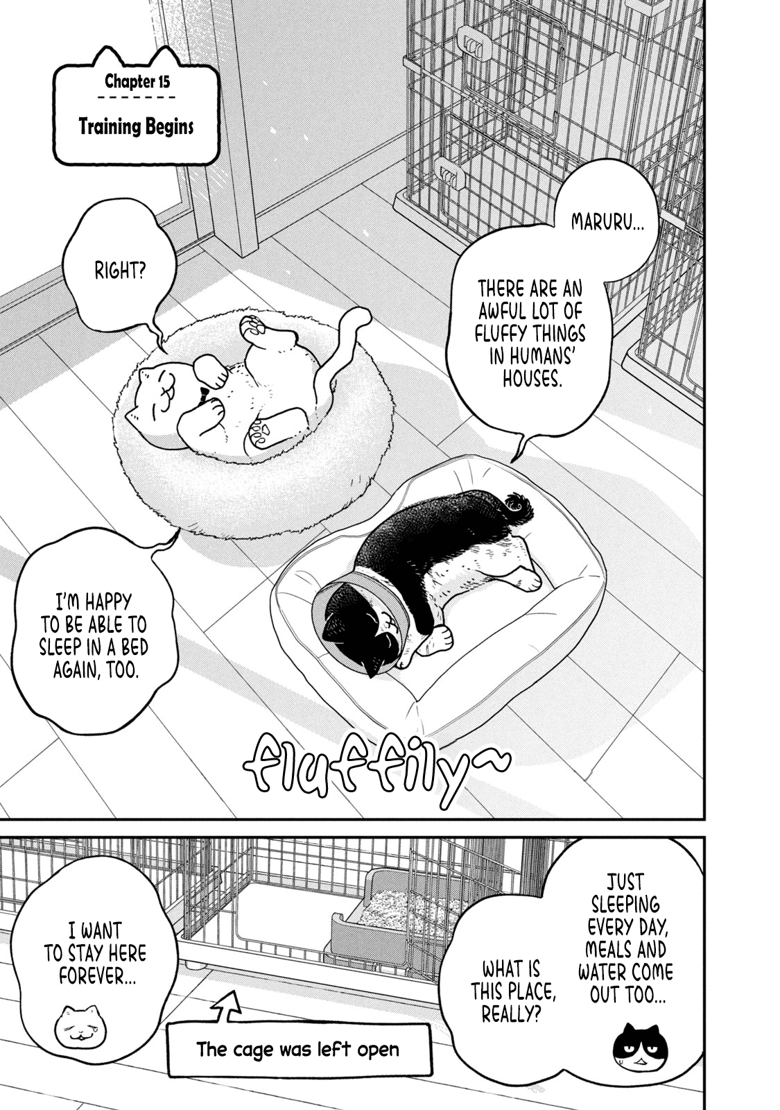 Cat Partners: Maruru and Hachi Chapter 15 page 2 - Chapter 15: Training begins