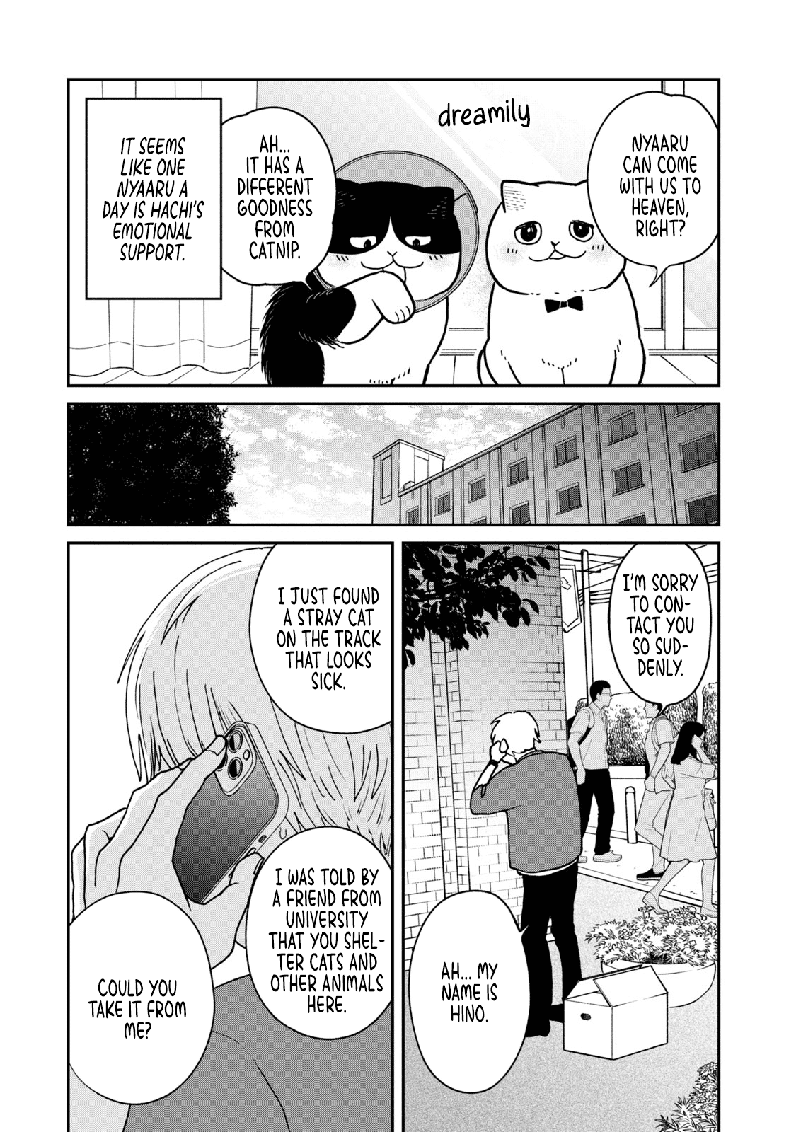 Cat Partners: Maruru and Hachi Chapter 16 page 10 - Chapter 16: Magical nyaaru
