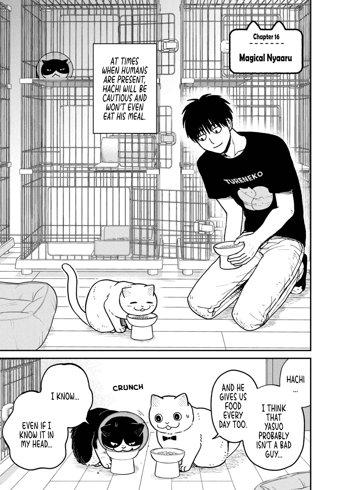 Cat Partners: Maruru and Hachi Chapter 16 page 2 - Chapter 16: Magical nyaaru