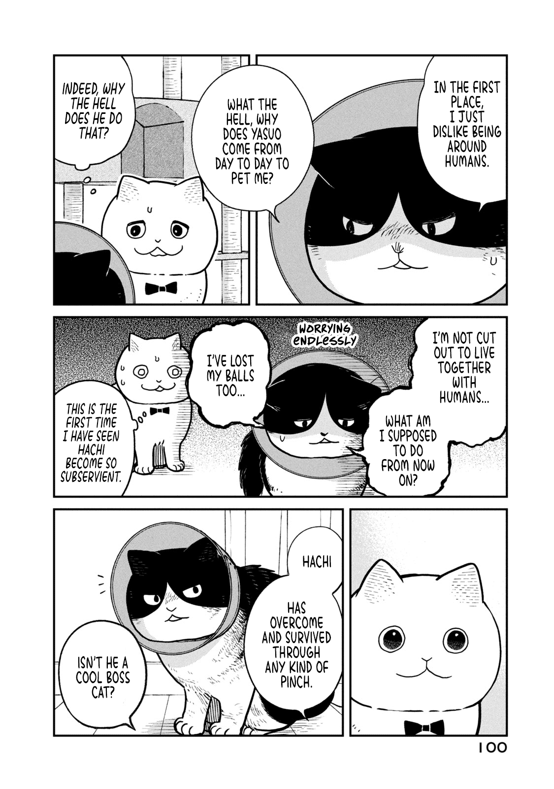 Cat Partners: Maruru and Hachi Chapter 16 page 3 - Chapter 16: Magical nyaaru