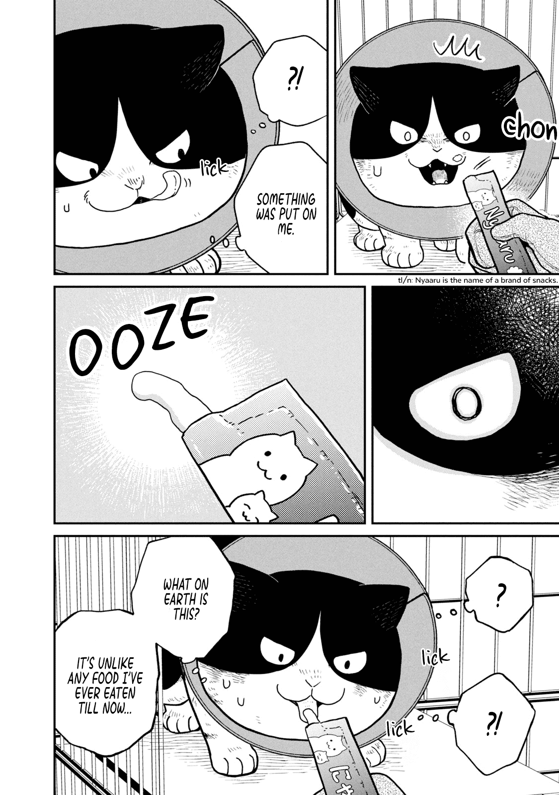 Cat Partners: Maruru and Hachi Chapter 16 page 5 - Chapter 16: Magical nyaaru