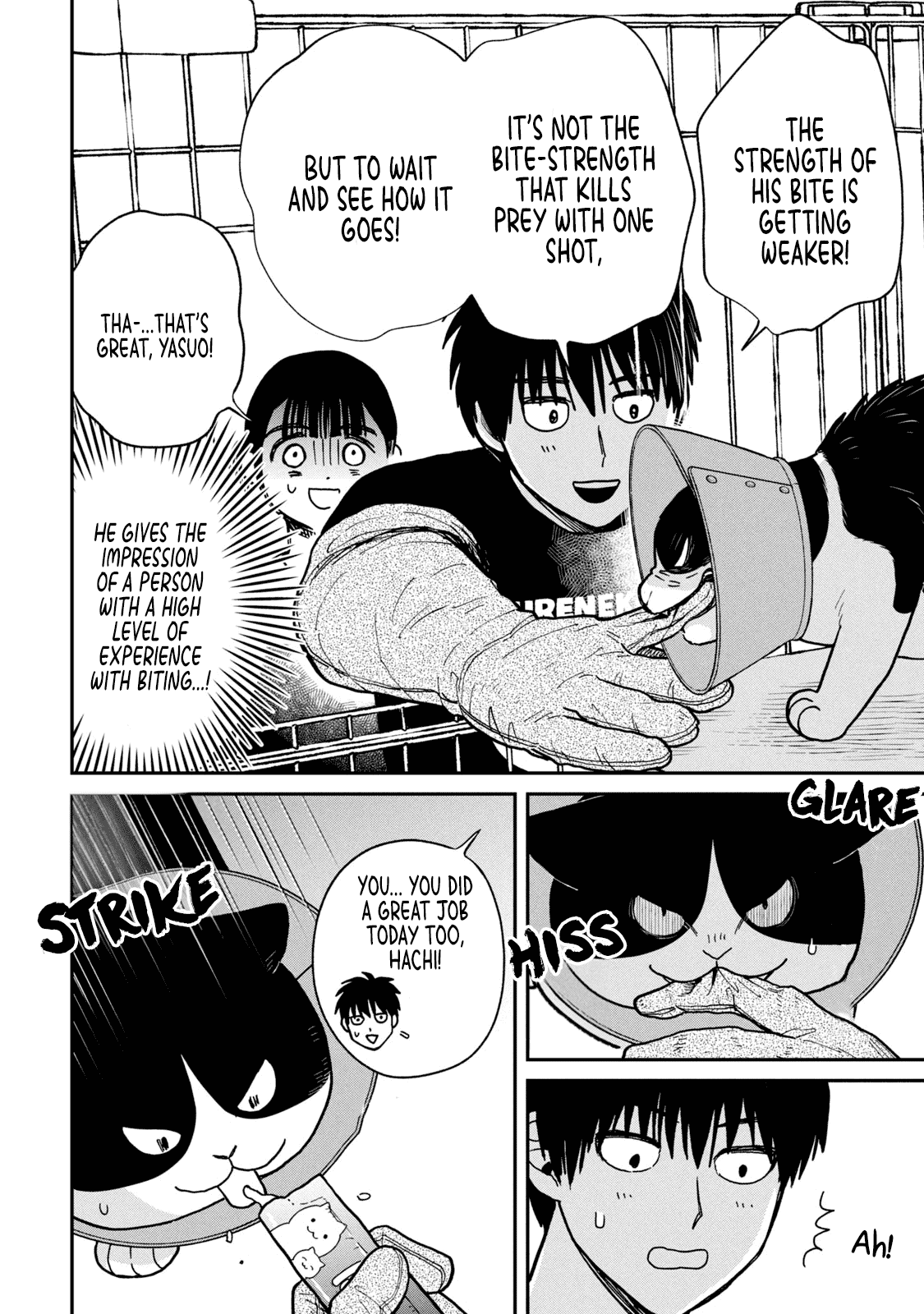 Cat Partners: Maruru and Hachi Chapter 16 page 9 - Chapter 16: Magical nyaaru