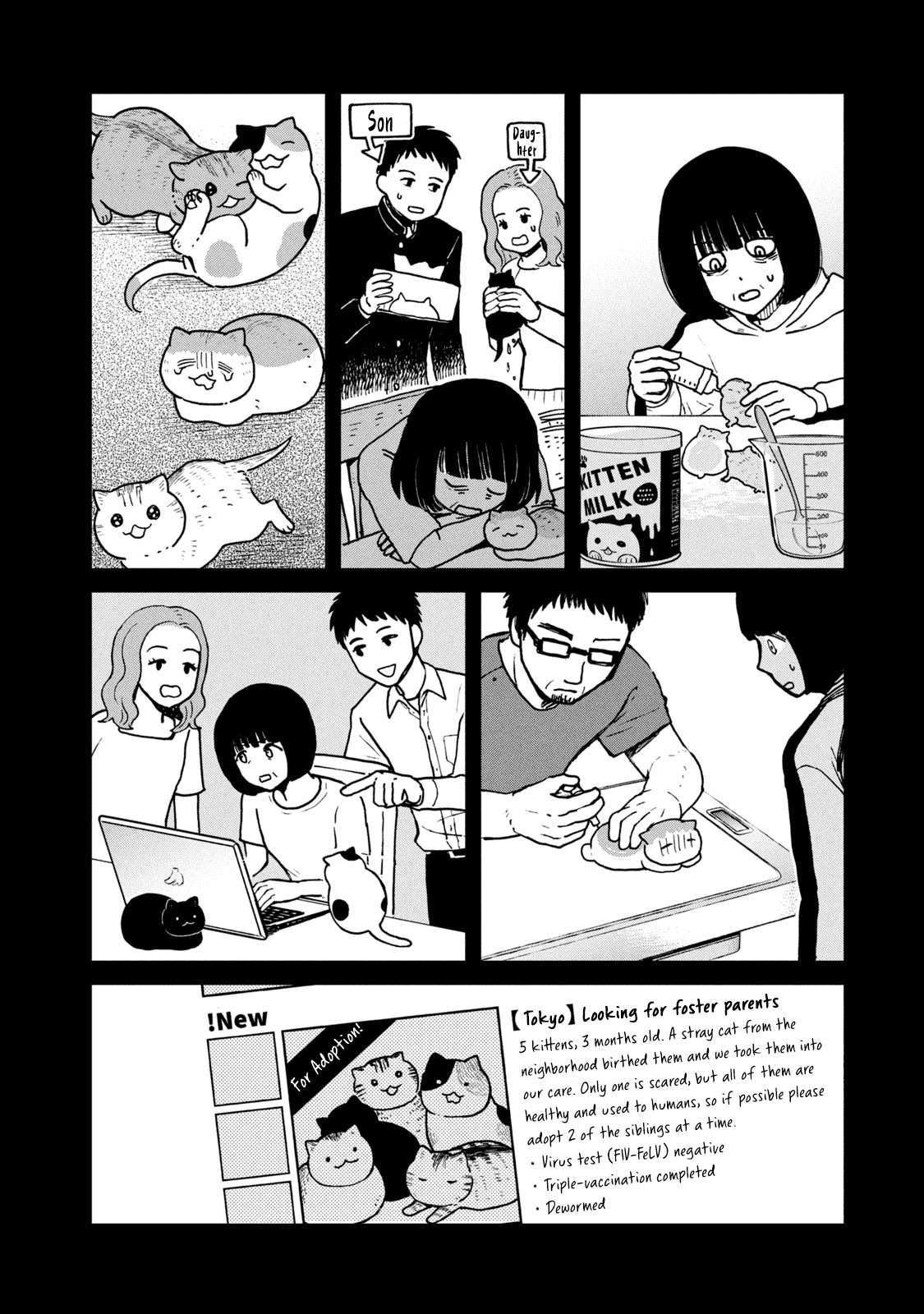 Cat Partners: Maruru and Hachi Chapter 17 page 11 - Chapter 17: Eriko and Big Sister Sabi 1