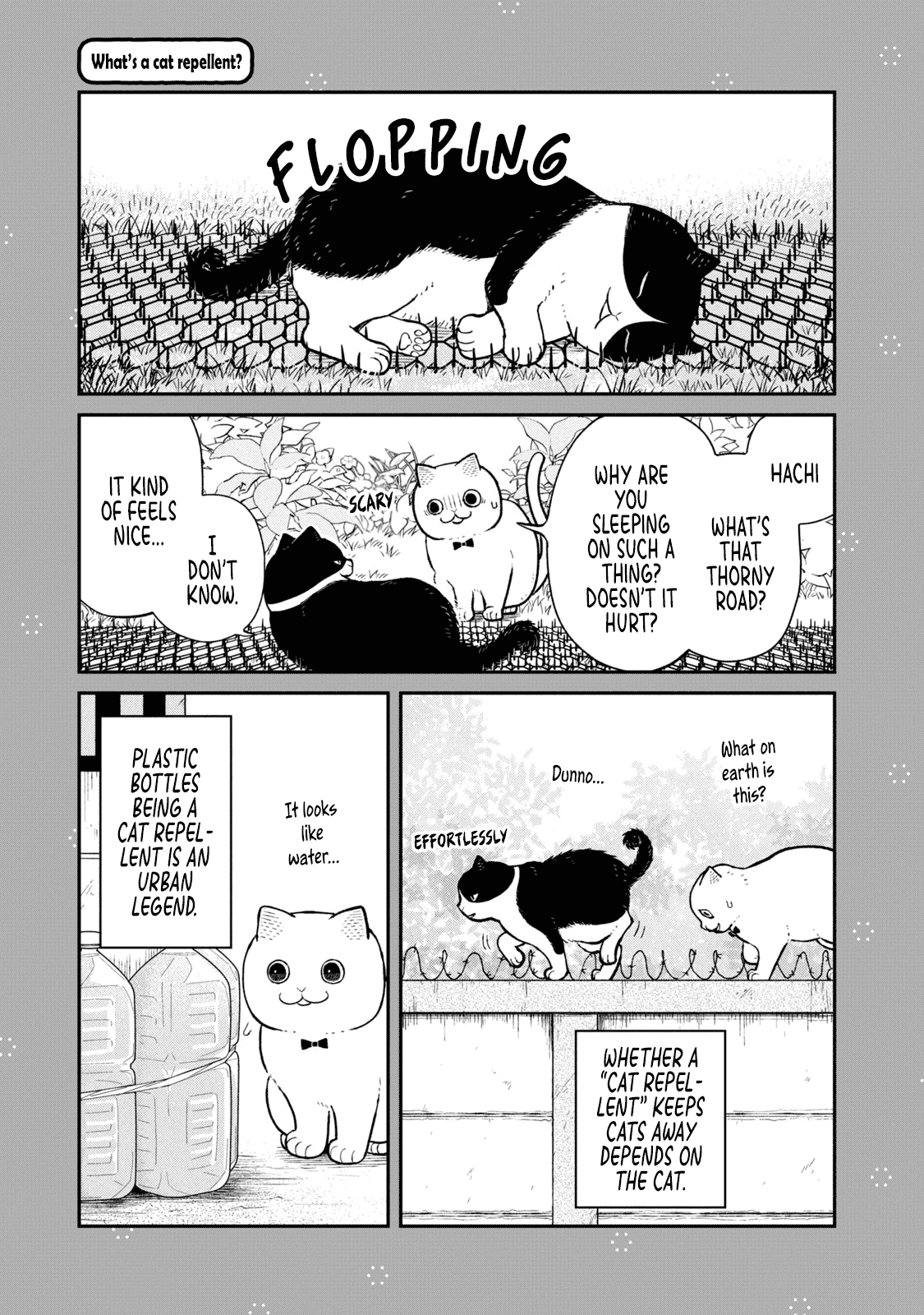 Cat Partners: Maruru and Hachi Chapter 18.1 page 10 - Chapter 18.1: Volume 2 bonus chapters and extra pages