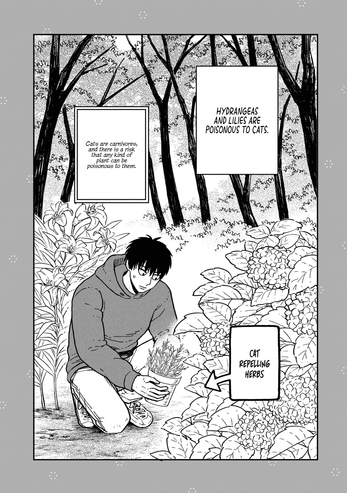 Cat Partners: Maruru and Hachi Chapter 18.1 page 13 - Chapter 18.1: Volume 2 bonus chapters and extra pages