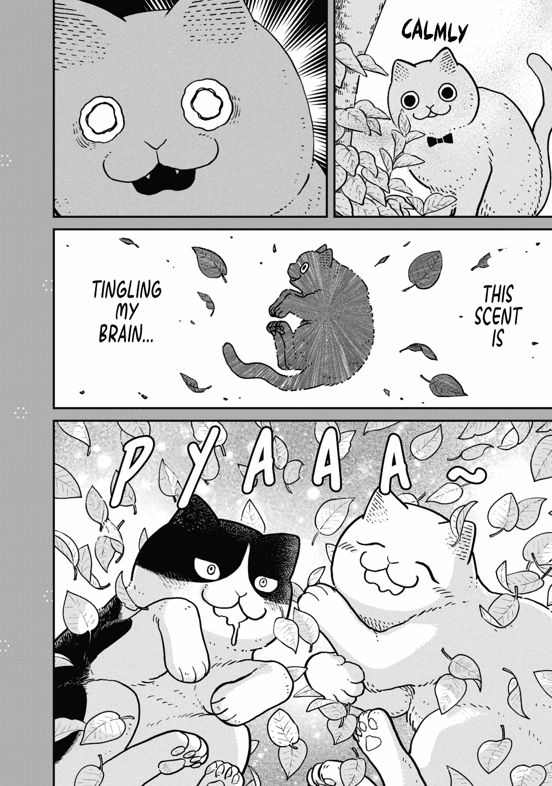 Cat Partners: Maruru and Hachi Chapter 18.1 page 15 - Chapter 18.1: Volume 2 bonus chapters and extra pages