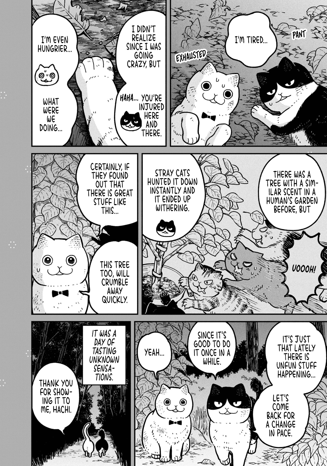 Cat Partners: Maruru and Hachi Chapter 18.1 page 17 - Chapter 18.1: Volume 2 bonus chapters and extra pages