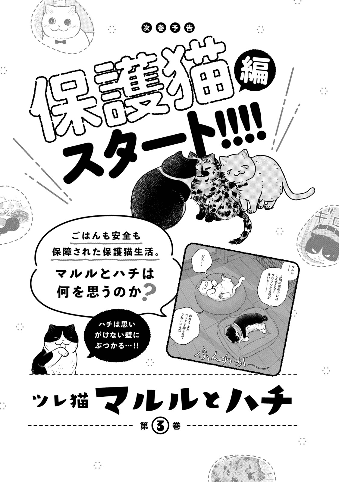Cat Partners: Maruru and Hachi Chapter 18.1 page 20 - Chapter 18.1: Volume 2 bonus chapters and extra pages
