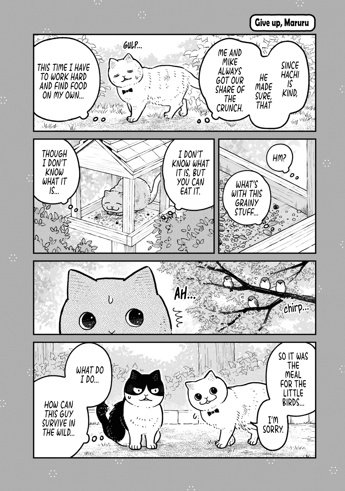 Cat Partners: Maruru and Hachi Chapter 18.1 page 5 - Chapter 18.1: Volume 2 bonus chapters and extra pages