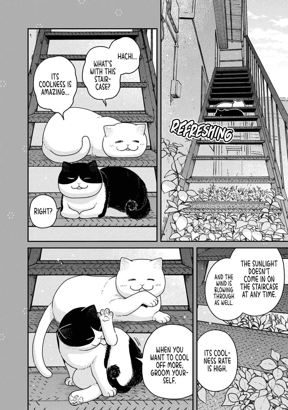 Cat Partners: Maruru and Hachi Chapter 18.1 page 7 - Chapter 18.1: Volume 2 bonus chapters and extra pages