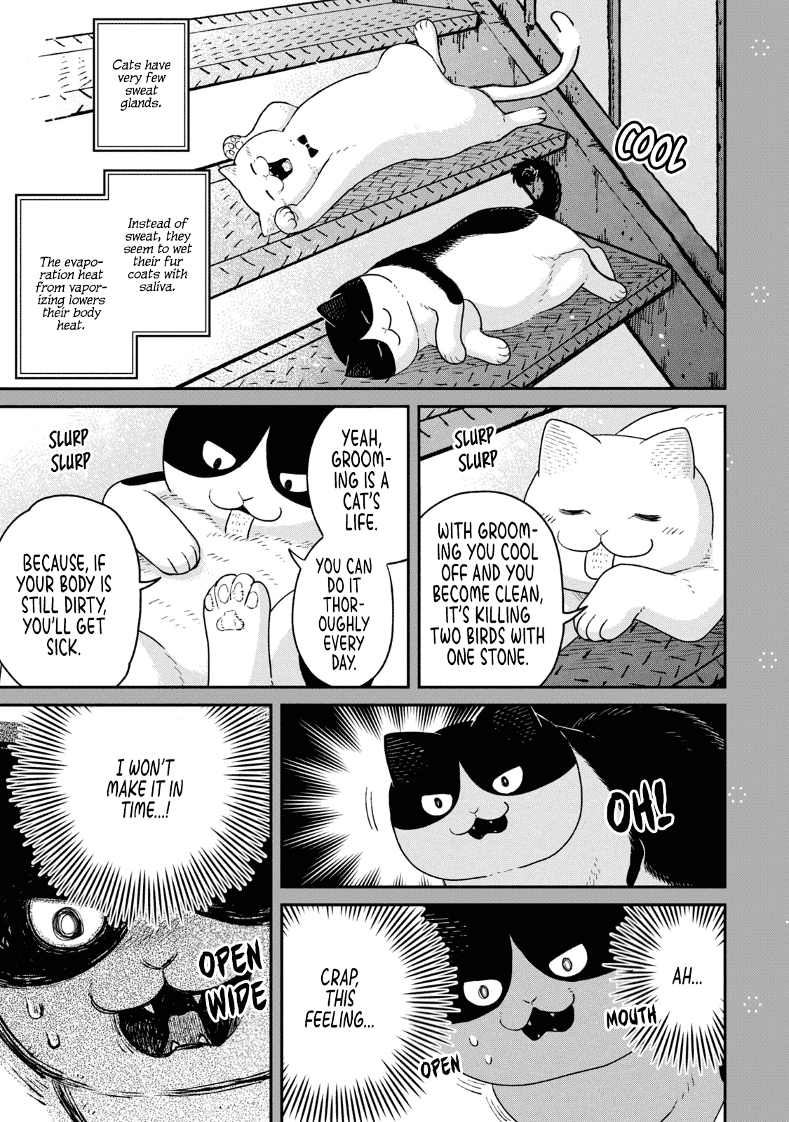 Cat Partners: Maruru and Hachi Chapter 18.1 page 8 - Chapter 18.1: Volume 2 bonus chapters and extra pages