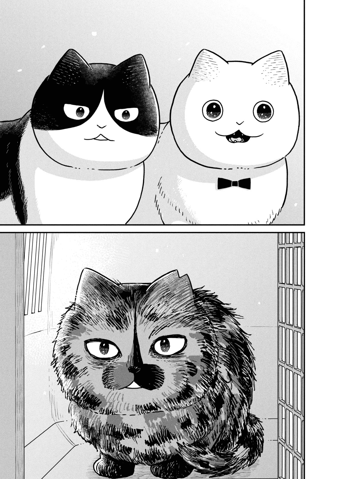 Cat Partners: Maruru and Hachi Chapter 18 page 12 - Chapter 18: Eriko and Big Sister Sabi 2