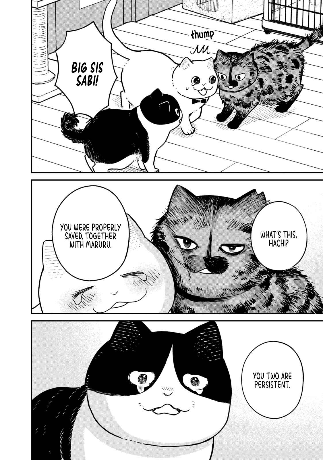 Cat Partners: Maruru and Hachi Chapter 18 page 13 - Chapter 18: Eriko and Big Sister Sabi 2