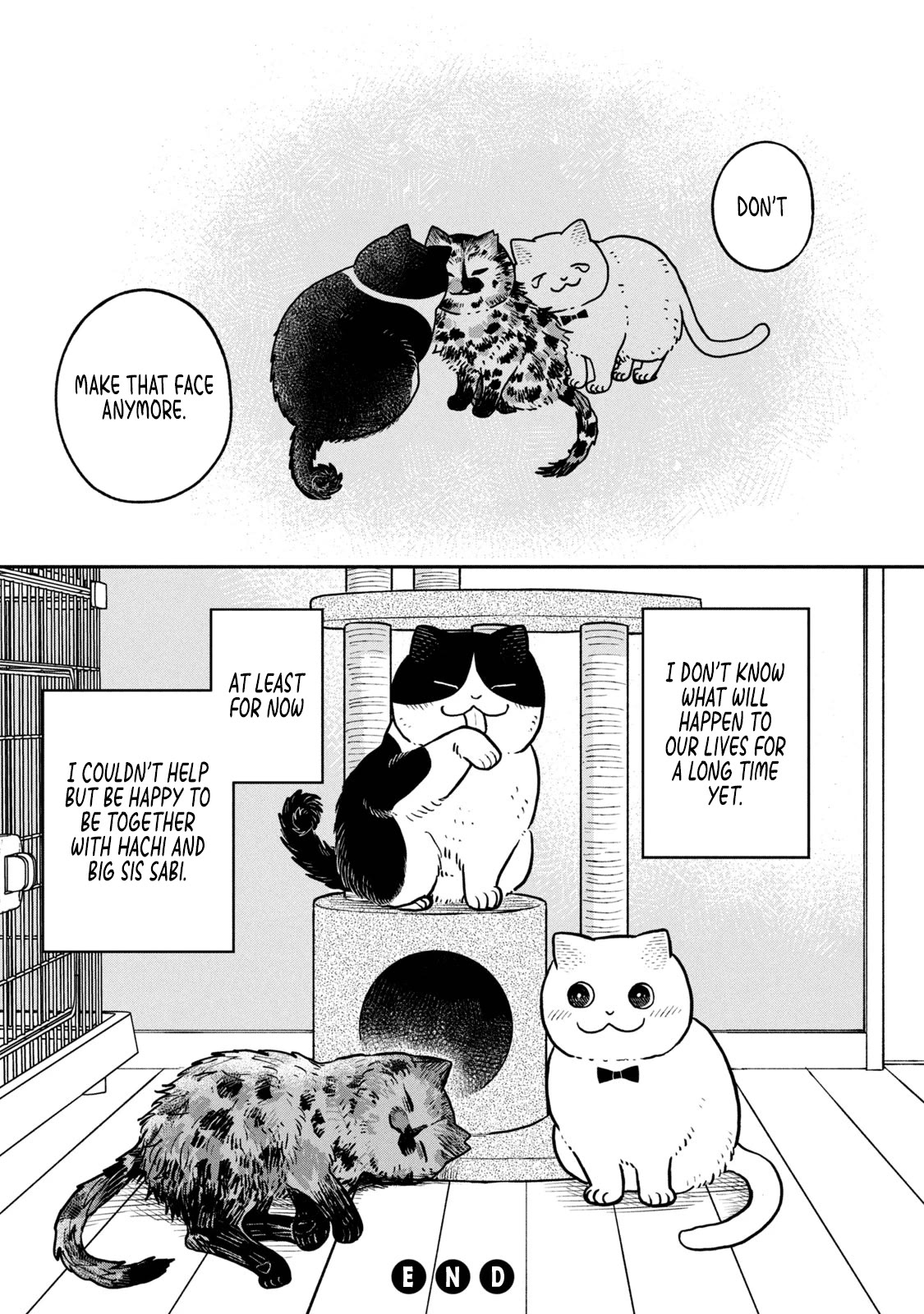 Cat Partners: Maruru and Hachi Chapter 18 page 14 - Chapter 18: Eriko and Big Sister Sabi 2