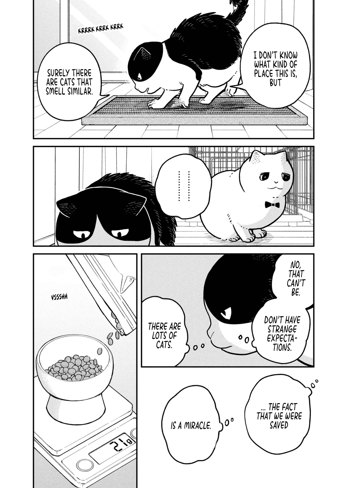 Cat Partners: Maruru and Hachi Chapter 18 page 9 - Chapter 18: Eriko and Big Sister Sabi 2