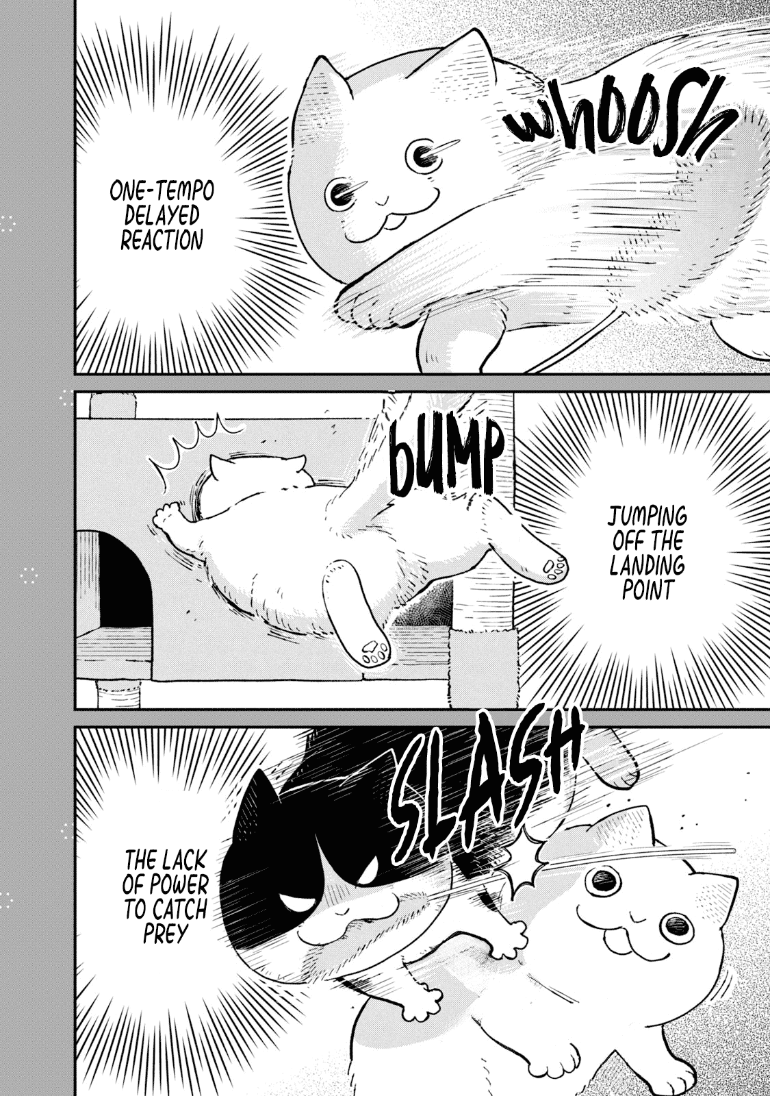 Cat Partners: Maruru and Hachi Chapter 19.1 page 2 - Chapter 19.1: Bonus chapter: Maruru's Miracle