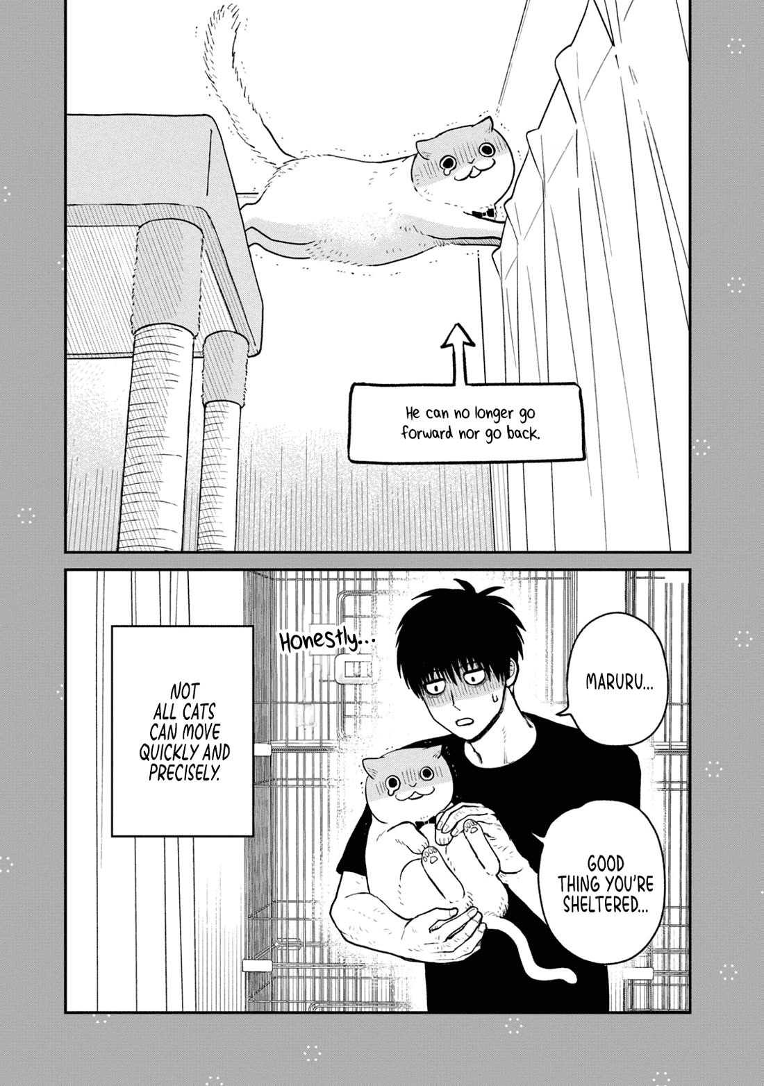 Cat Partners: Maruru and Hachi Chapter 19.1 page 3 - Chapter 19.1: Bonus chapter: Maruru's Miracle
