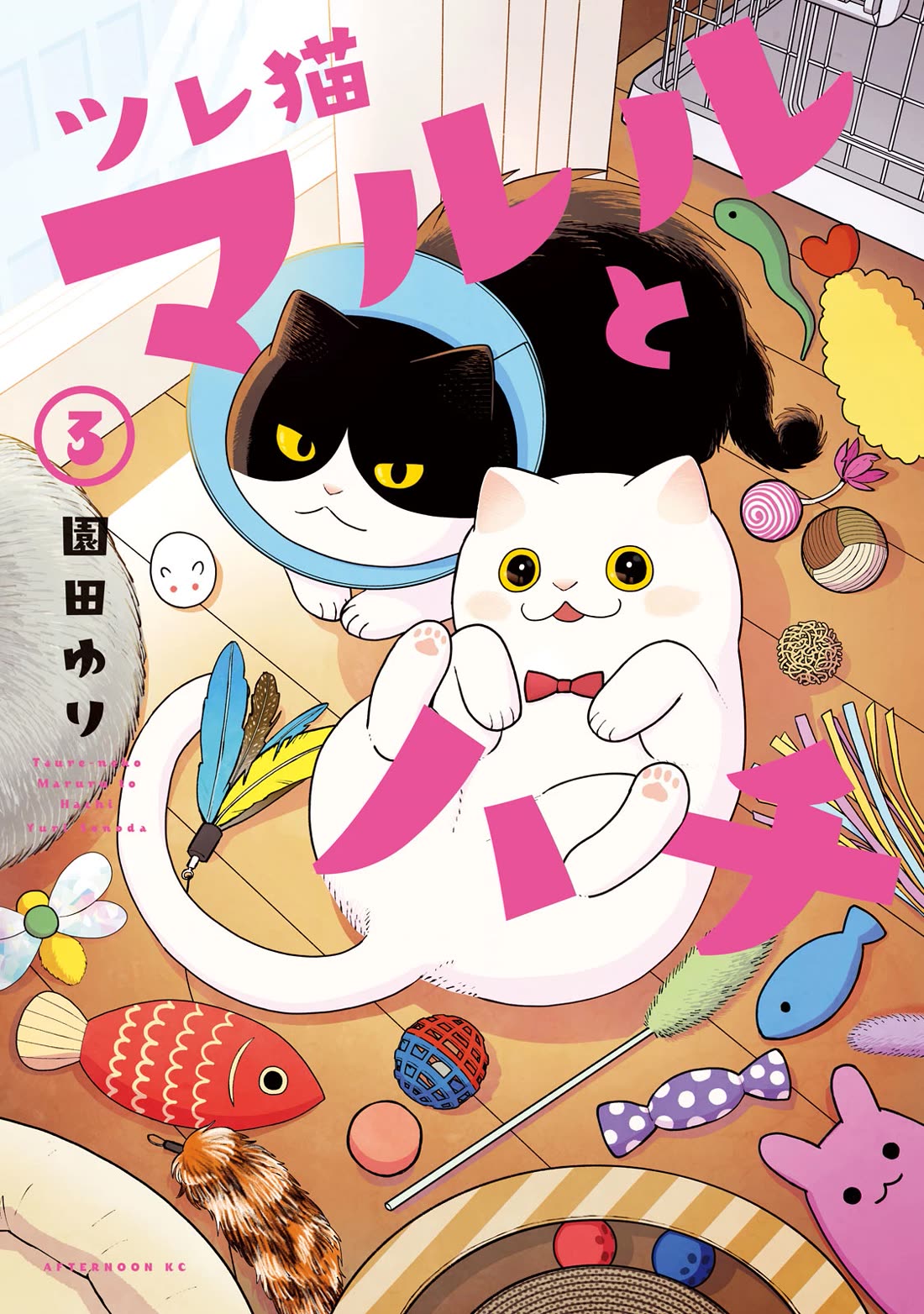 Cat Partners: Maruru and Hachi Chapter 19 page 1 - Chapter 19: Bonds That Have Been Washed Away