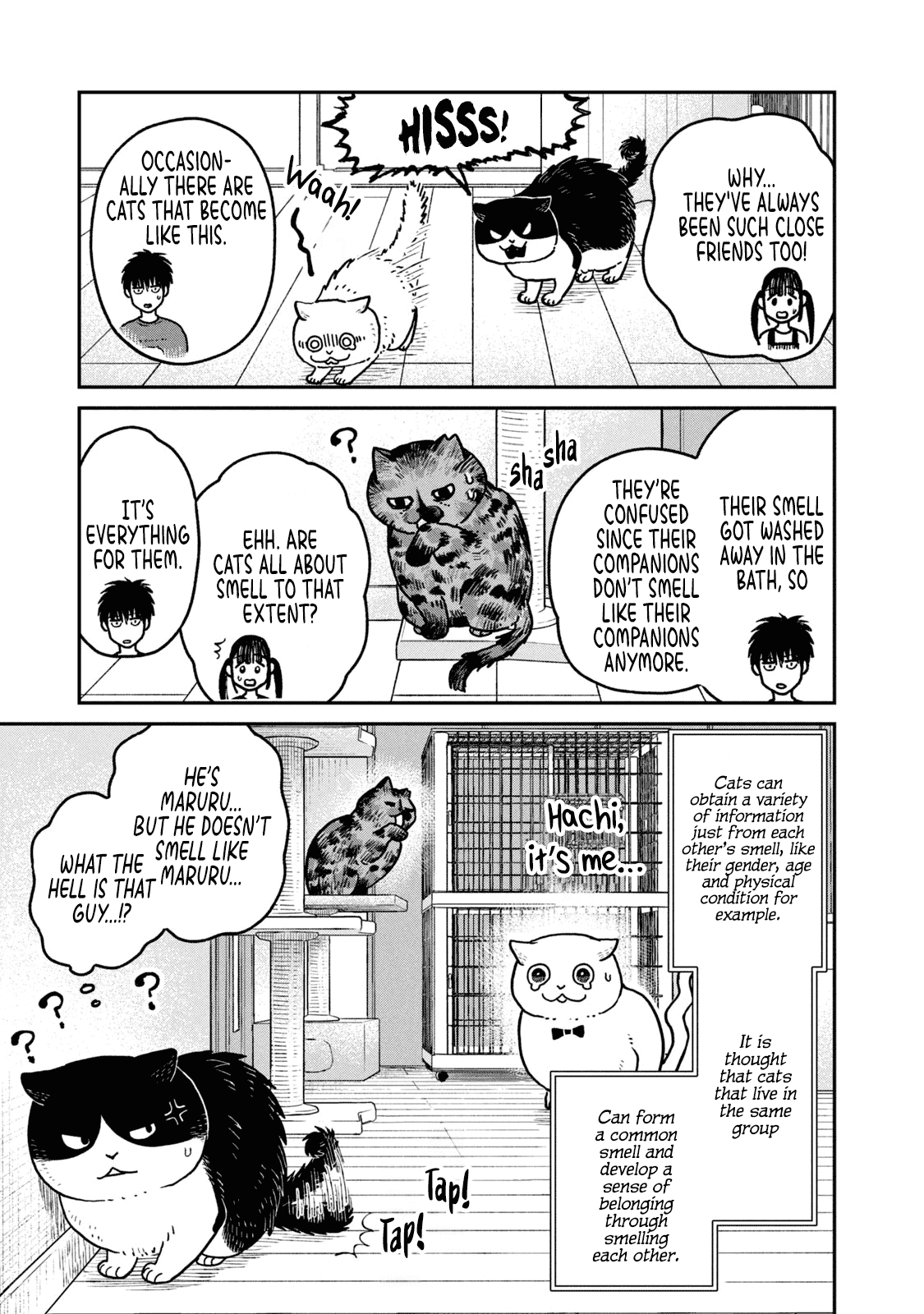 Cat Partners: Maruru and Hachi Chapter 19 page 13 - Chapter 19: Bonds That Have Been Washed Away