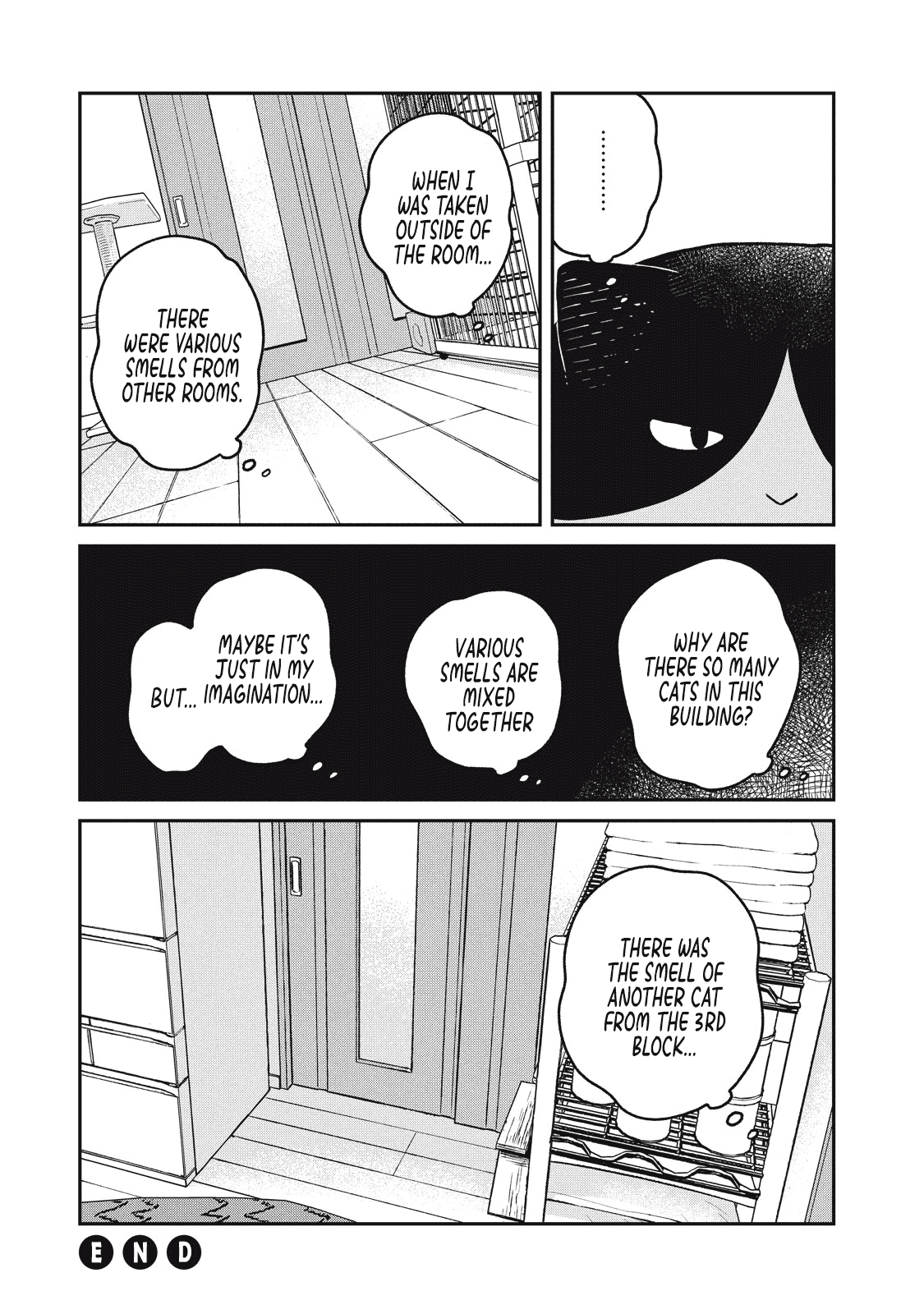 Cat Partners: Maruru and Hachi Chapter 19 page 15 - Chapter 19: Bonds That Have Been Washed Away