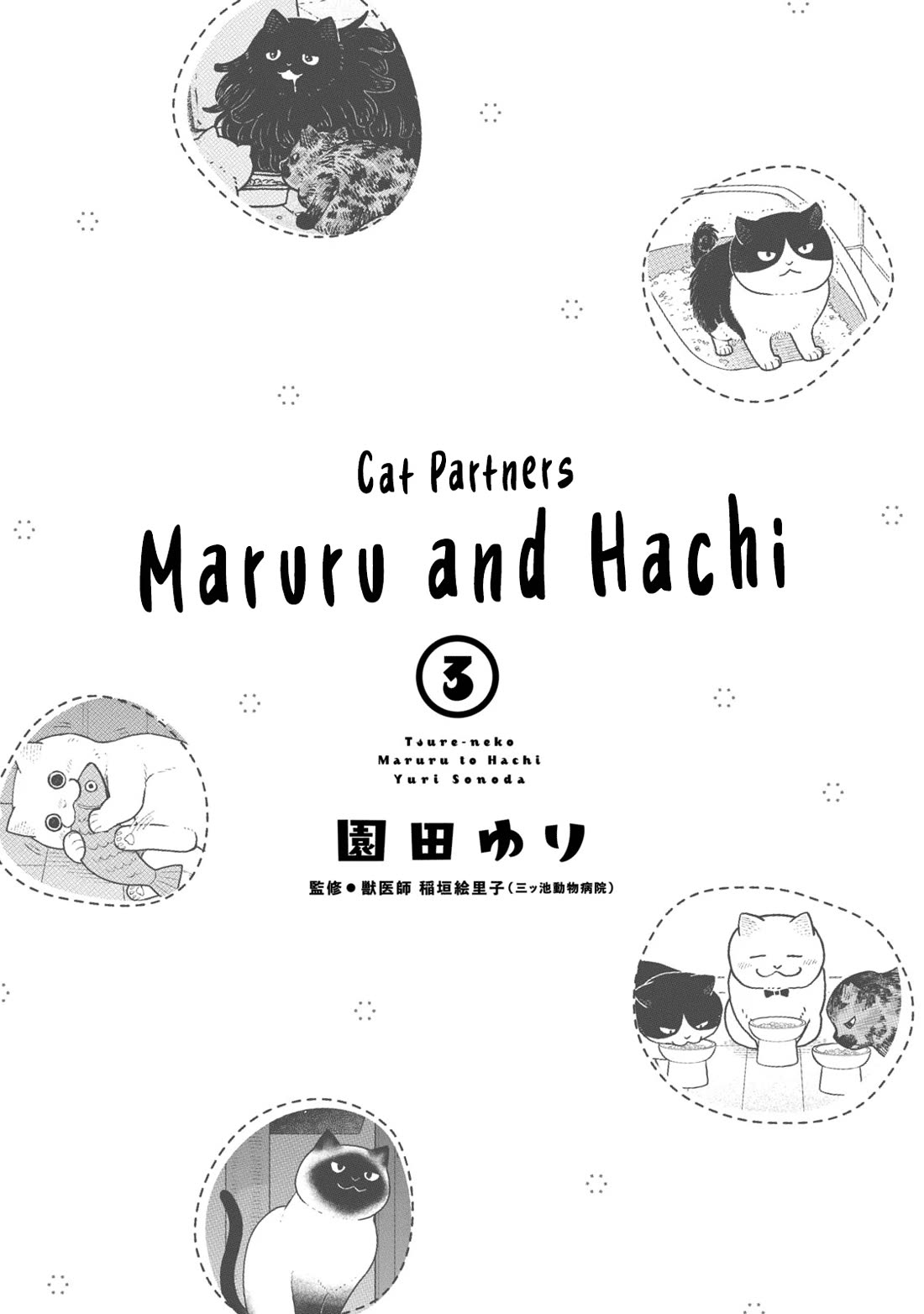 Cat Partners: Maruru and Hachi Chapter 19 page 3 - Chapter 19: Bonds That Have Been Washed Away