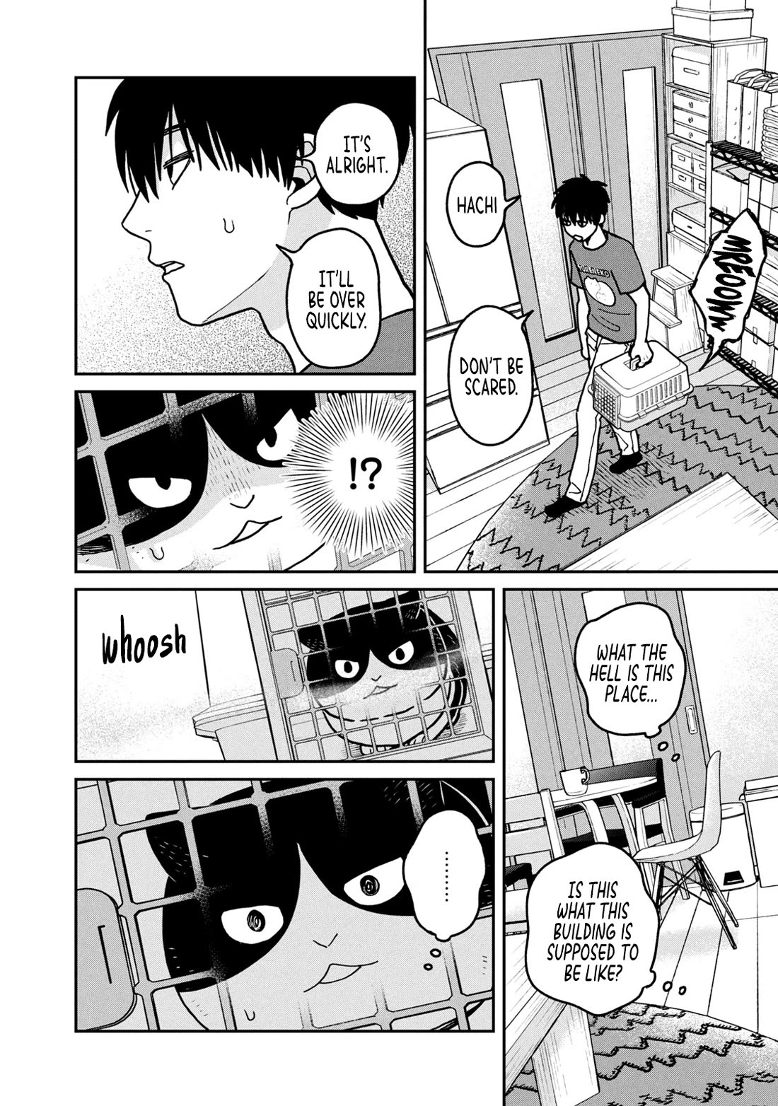 Cat Partners: Maruru and Hachi Chapter 19 page 8 - Chapter 19: Bonds That Have Been Washed Away