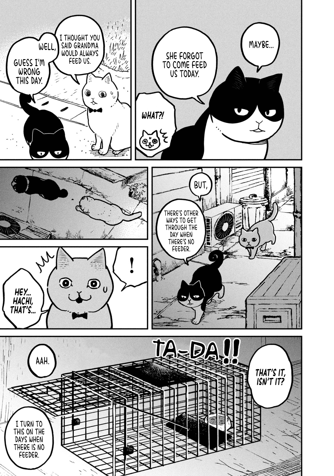 Cat Partners: Maruru and Hachi Chapter 2 page 10 - Chapter 2: Know-how for the day-to-day life