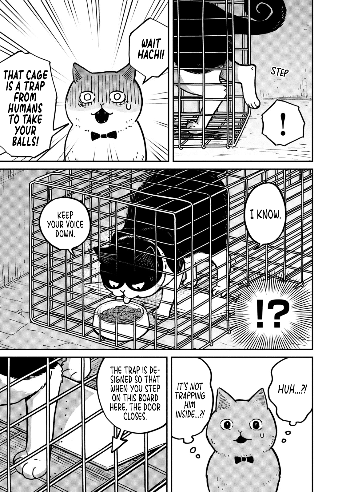 Cat Partners: Maruru and Hachi Chapter 2 page 12 - Chapter 2: Know-how for the day-to-day life