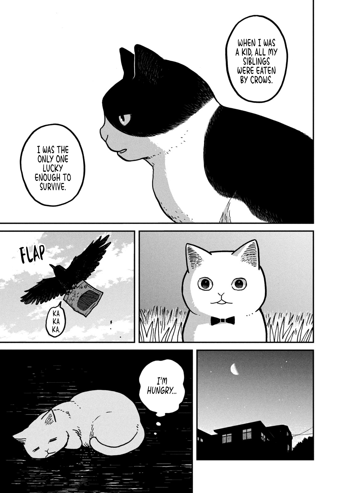 Cat Partners: Maruru and Hachi Chapter 2 page 18 - Chapter 2: Know-how for the day-to-day life