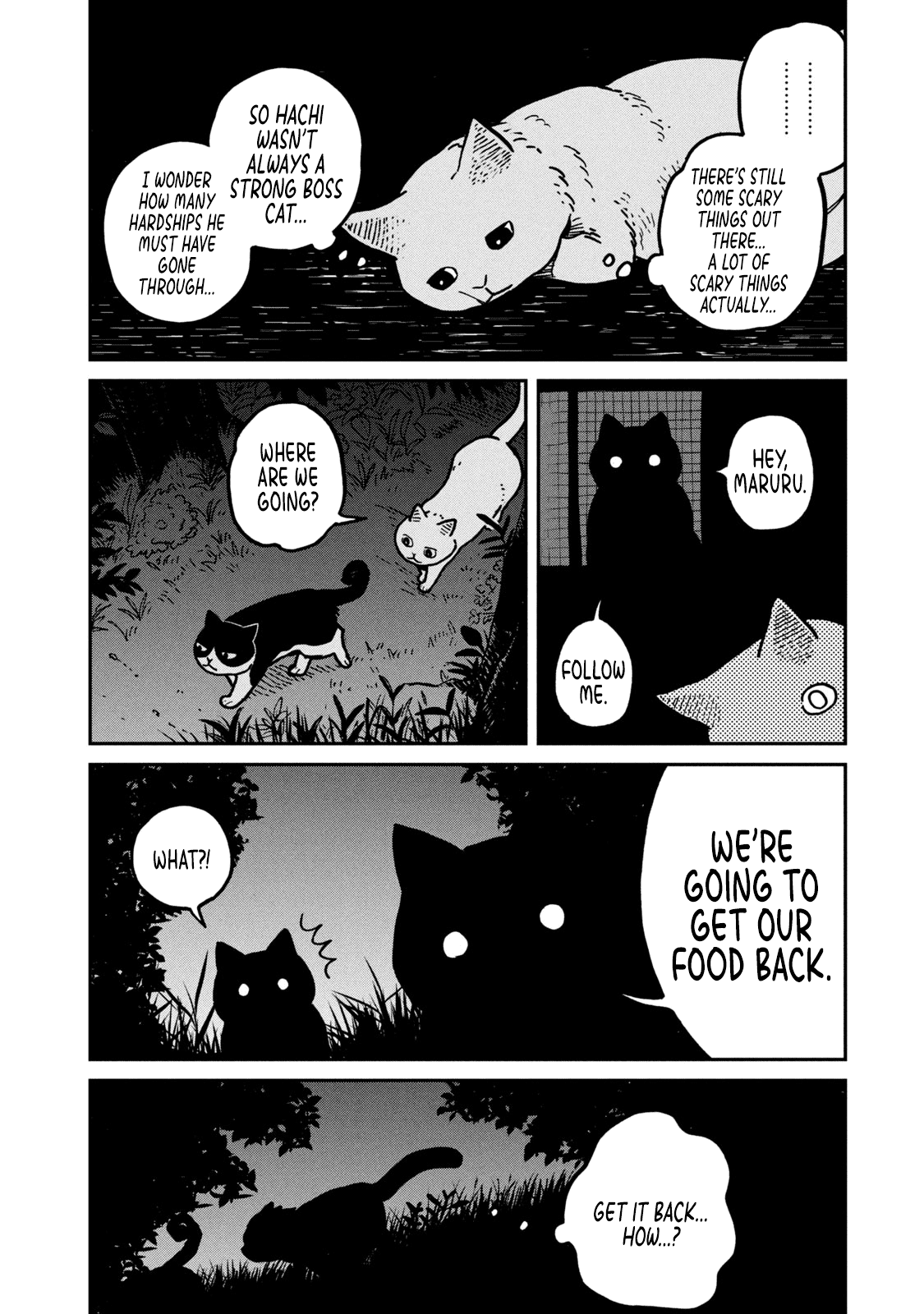 Cat Partners: Maruru and Hachi Chapter 2 page 19 - Chapter 2: Know-how for the day-to-day life