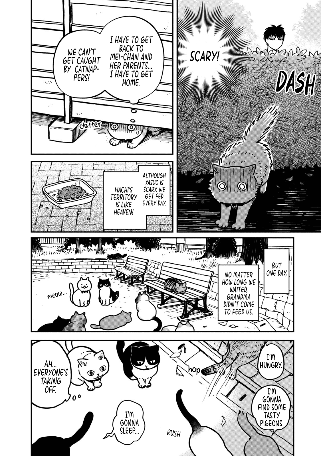 Cat Partners: Maruru and Hachi Chapter 2 page 9 - Chapter 2: Know-how for the day-to-day life