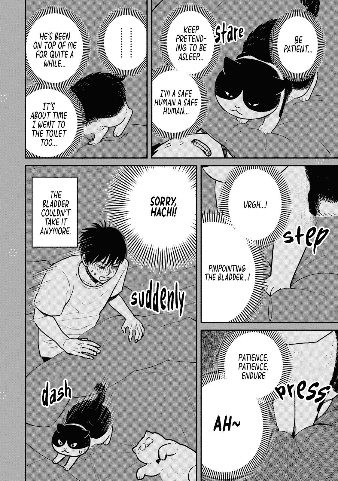 Cat Partners: Maruru and Hachi Chapter 22.1 page 2 - Chapter 22.1: Bonus chapter: You can't go there