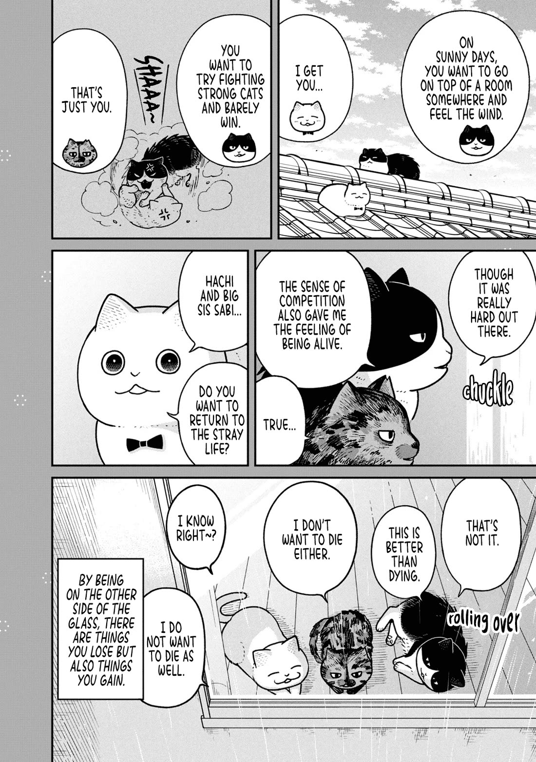 Cat Partners: Maruru and Hachi Chapter 22.2 page 2 - Chapter 22.2: Bonus chapter: Late afternoon in the rainy season