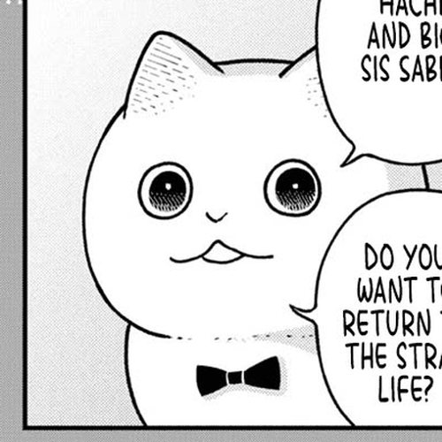 Cat Partners: Maruru and Hachi Chapter 22.2: Bonus chapter: Late afternoon in the rainy season cover