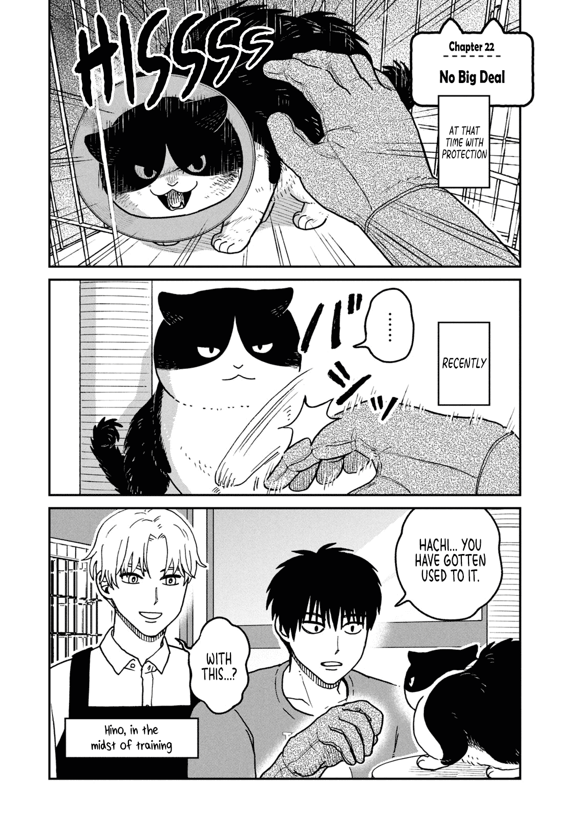 Cat Partners: Maruru and Hachi Chapter 22 page 1 - Chapter 22: No Big Deal