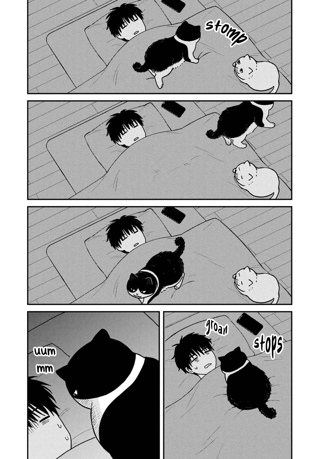 Cat Partners: Maruru and Hachi Chapter 22 page 11 - Chapter 22: No Big Deal