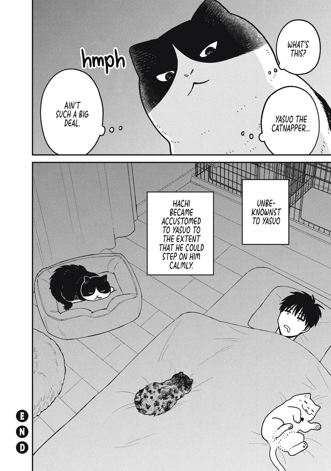 Cat Partners: Maruru and Hachi Chapter 22 page 12 - Chapter 22: No Big Deal