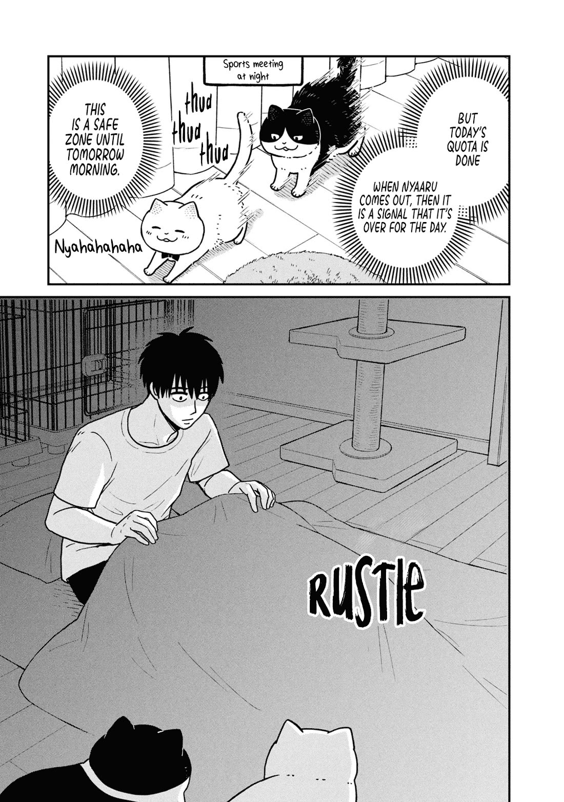 Cat Partners: Maruru and Hachi Chapter 22 page 5 - Chapter 22: No Big Deal