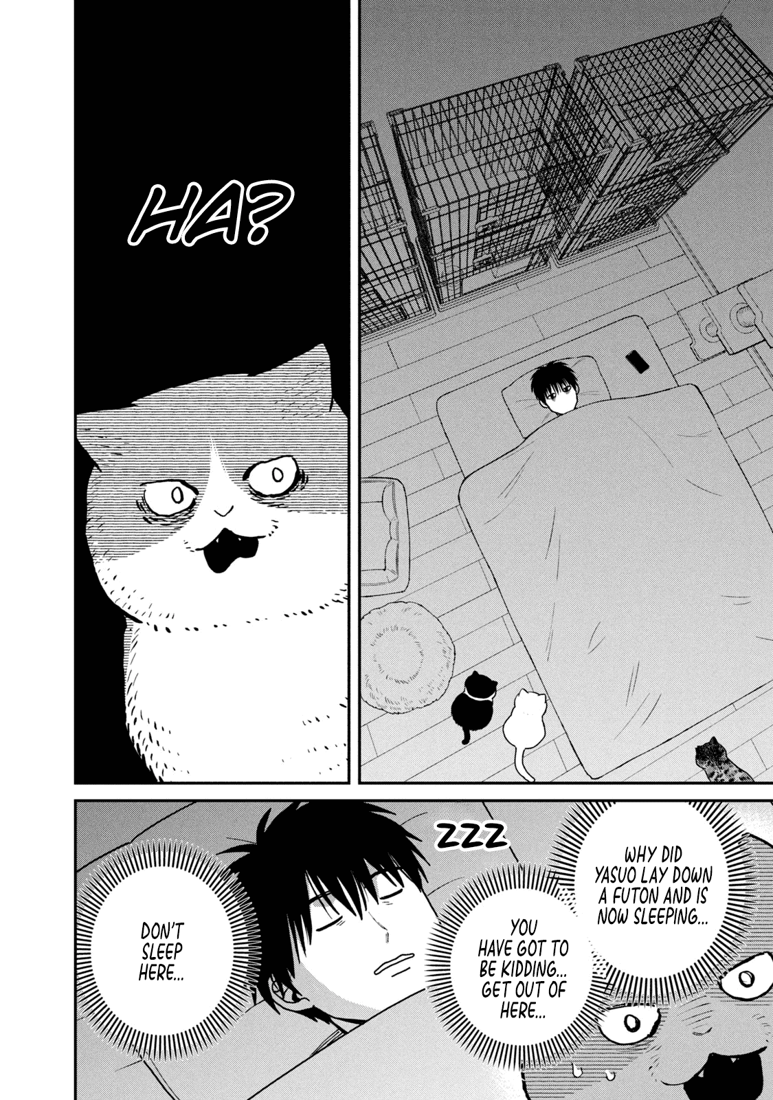 Cat Partners: Maruru and Hachi Chapter 22 page 6 - Chapter 22: No Big Deal