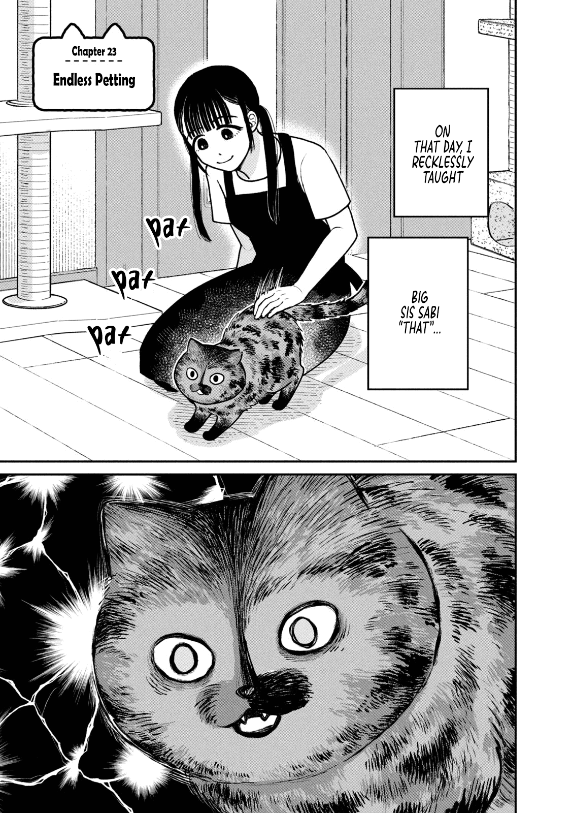 Cat Partners: Maruru and Hachi Chapter 23 page 1 - Chapter 23: Endles Petting
