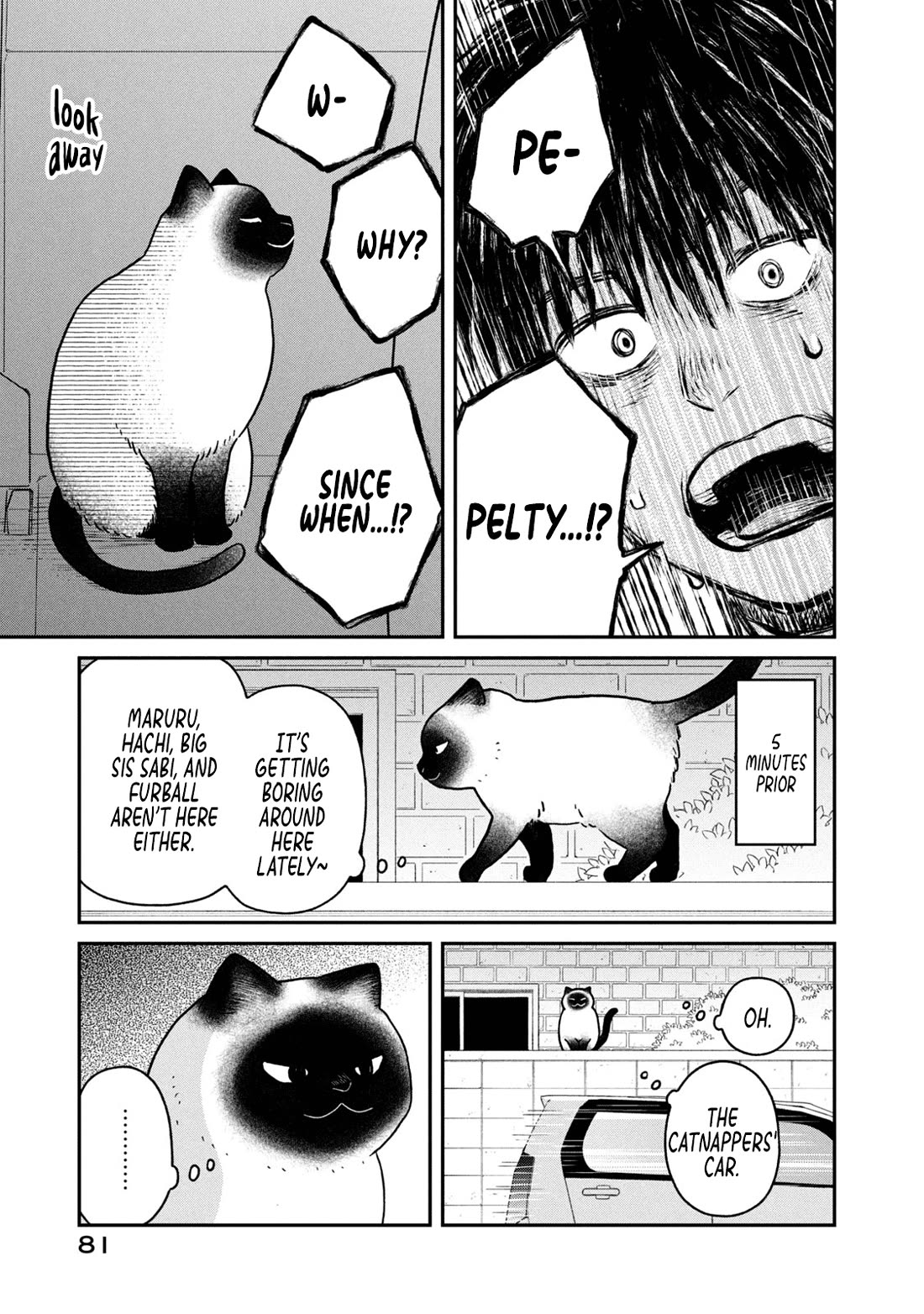 Cat Partners: Maruru and Hachi Chapter 23 page 11 - Chapter 23: Endles Petting