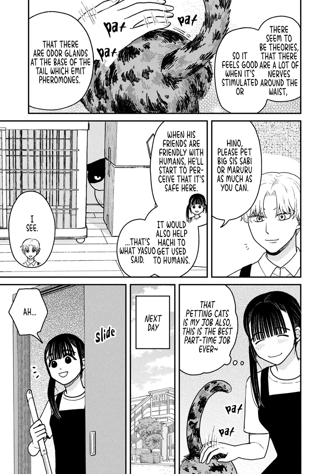 Cat Partners: Maruru and Hachi Chapter 23 page 3 - Chapter 23: Endles Petting